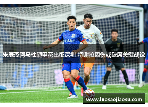 朱辰杰阿马杜随申花出征深圳 特谢拉因伤或缺席关键战役
